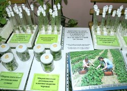День відкритих дверей в Уманському НУС