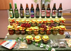 День відкритих дверей в Уманському НУС