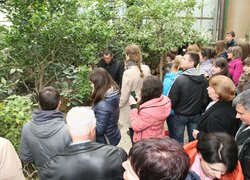 Дружня зустріч відділу довузівської підготовки Уманського НУС з школярами Чорнобаївського району