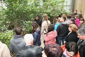 Дружня зустріч відділу довузівської підготовки Уманського НУС з школярами Чорнобаївського району