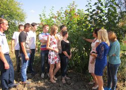 Практичні заняття студентів факультету агрономії
