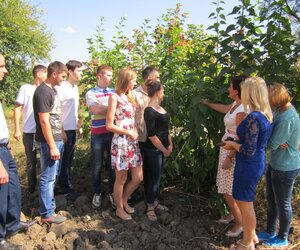 Практичні заняття студентів факультету агрономії