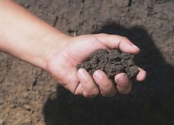 ІХ з’їзд українського товариства ґрунтознавців та агрохіміків