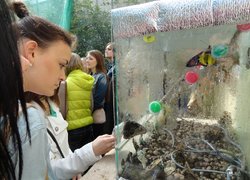Кафедра обліку і аудиту гостинно приймала випускників відокремленого структурного підрозділу агротехнічного коледжу Уманського НУС