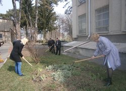 Впорядкування благоустрою території університету