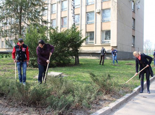 Чисте довкілля