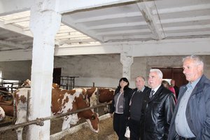 Стратегічні напрями розвитку молочного скотарства