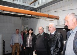 Стратегічні напрями розвитку молочного скотарства