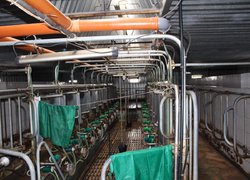 Стратегічні напрями розвитку молочного скотарства