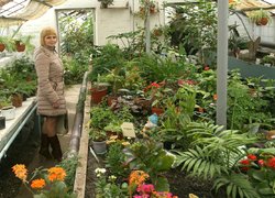 Товариська співпраця Уманського НУС із школами міста