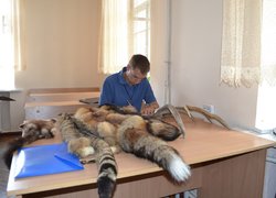Змагання з «Лісового багатоборства» серед студентів лісогосподарських факультетів вищих навчальних закладів України