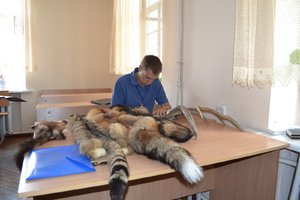 Змагання з «Лісового багатоборства» серед студентів лісогосподарських факультетів вищих навчальних закладів України