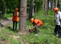 Змагання з «Лісового багатоборства» серед студентів лісогосподарських факультетів вищих навчальних закладів України