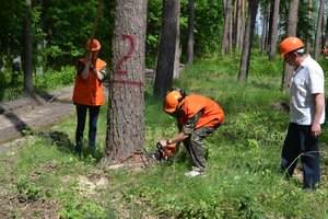 Змагання з «Лісового багатоборства» серед студентів лісогосподарських факультетів вищих навчальних закладів України