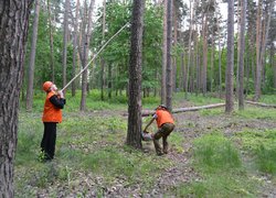 Змагання з «Лісового багатоборства» серед студентів лісогосподарських факультетів вищих навчальних закладів України