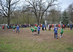 День коледжів на кафедрі маркетингу Уманського НУС