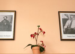 Відкриття науково-дослідної лабораторії «Маркетингові рішення»