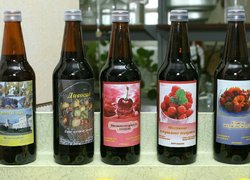 Це престижно – бути технологом