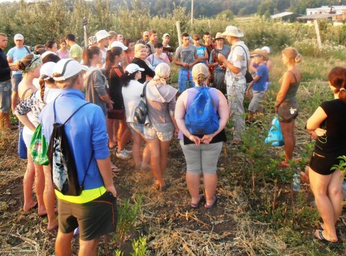 Практика з розсадництва (окулірування) в Уманському національному університеті садівництва