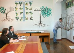 Обрізування кущів під час практичного туру з виногрдарства