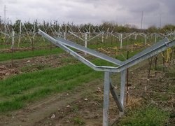 Елементи шпалери в молодому яблуневому саду польського Інституту плодоовочівництва