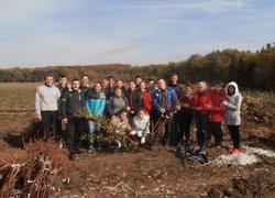 Студенти 31-П, 32-П та 31-Зр під час викопування саджанців в плодовому розсаднику ННВВ