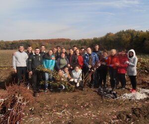 Практика з розсадництва (викопування саджанців) в Уманському національному університеті садівництва