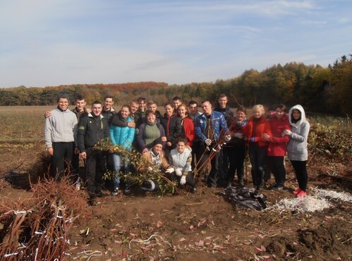 Практика з розсадництва (викопування саджанців) в Уманському національному університеті садівництва