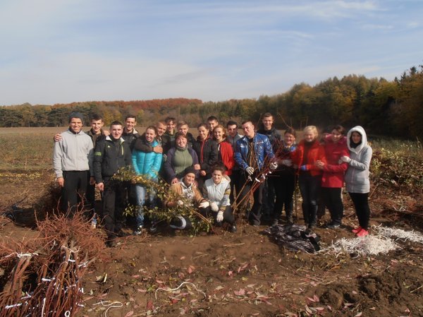 Студенти 31-П, 32-П та 31-Зр під час викопування саджанців в плодовому розсаднику ННВВ