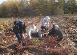 Студенти 32-П і 31-Зр на пакування і етикетуванні саджанців