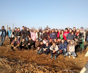 Збагачення досвіду під час практики з обрізування винограду в Уманському НУС