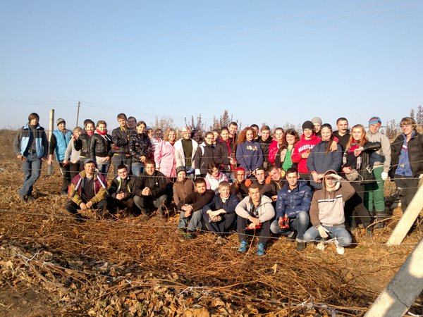 Студенти 31-п і 32-п груп під час обрізування кущів на винограднику ННВВ Уманського НУС