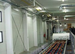 Високопрдуктивна сортувальна машина MAF RODA