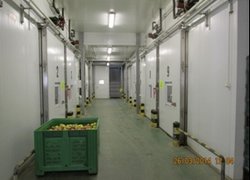 Холодильник з регульованим газовим середовищем