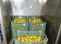 Продукція в герметичних контейнерах з РГС