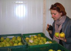 Викладача Юлію Жмуденко зацікавила якість дослідних зразків яблук після зберігання в регульованому газовому середовищі