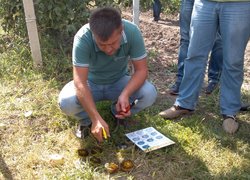 Майстер-клас з визначення строку збирання плодів від Ігоря Копачинського