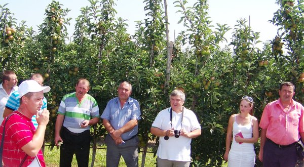 Голова фермерського господарства Роман Кондрацький (крайній зліва) демонструє результати контурного обрізування дерев яблуні