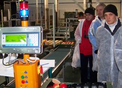 Ретельно посортовані яблука у фірмі «Стрийно сад»