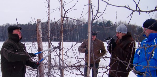 Януш Габрисяк демонструє формування так званого вікна в кроні яблуні