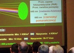 Розглядаються актуальні проблеми садівництва