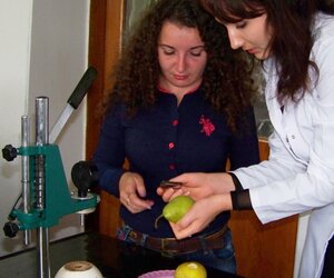 Магістранти-садівники опанували методи визначення стиглості яблук і груш