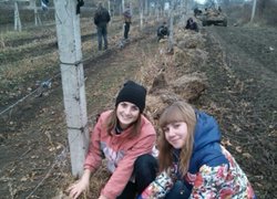 Практичне заняття у винограднику