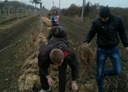 Практичне заняття у винограднику