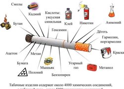 Шкідливі звички: куріння, алкоголізм, наркоманія