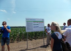 Демонстраційні посіви