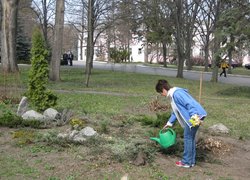 Озеленення території — не просто символ приходу весни, а свято молодості, оновлення, пошуку себе і духовного розвитку