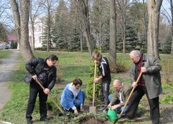 Озеленення території — не просто символ приходу весни, а свято молодості, оновлення, пошуку себе і духовного розвитку