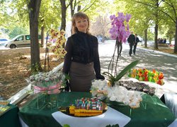 Виставкова експозиція кафедри туризму та готельно-ресторанної справи до святкування 170- річчя університету