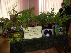 День працівника харчової промисловості
